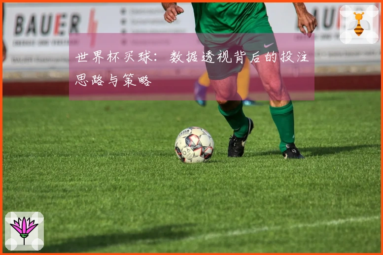 世界杯买球：数据透视背后的投注思路与策略