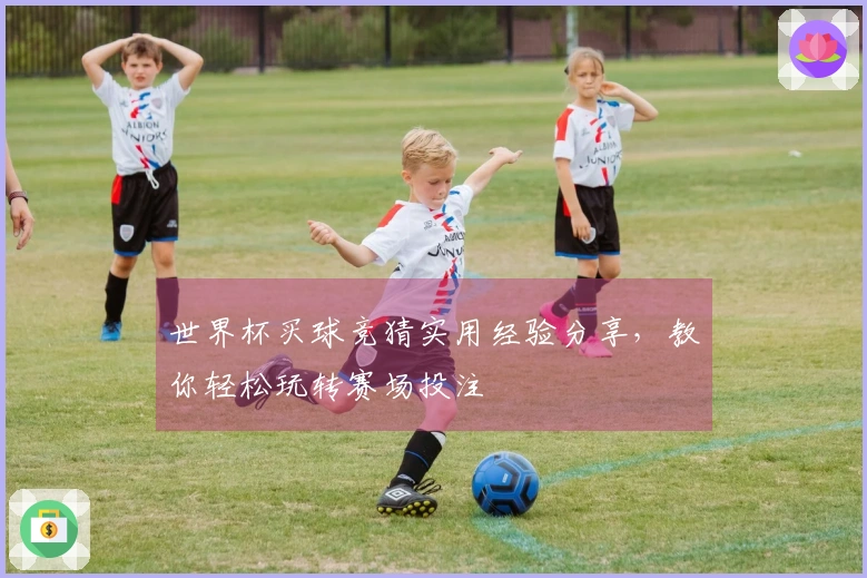 世界杯买球竞猜实用经验分享，教你轻松玩转赛场投注