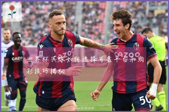 世界杯买球如何选择可靠平台和购彩技巧揭秘