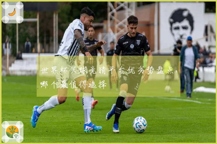 世界杯买球竞猜平台优劣势盘点，哪个最值得选择
