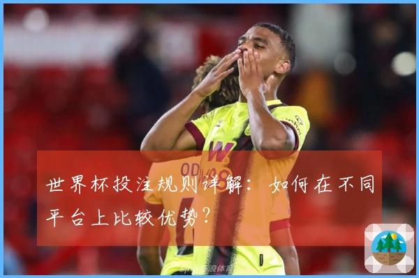 世界杯投注规则详解：如何在不同平台上比较优势？