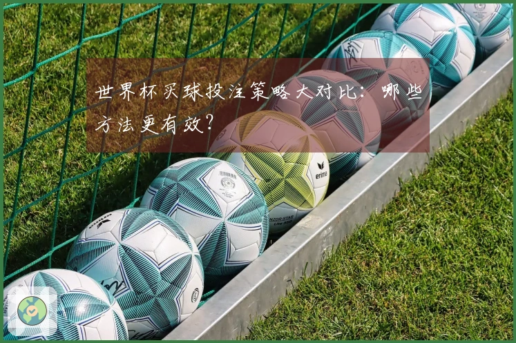 世界杯买球投注策略大对比：哪些方法更有效？