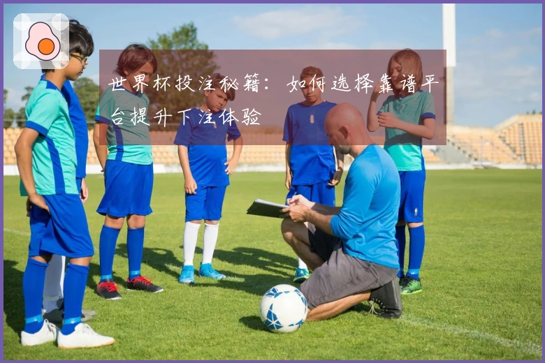 世界杯投注秘籍：如何选择靠谱平台提升下注体验