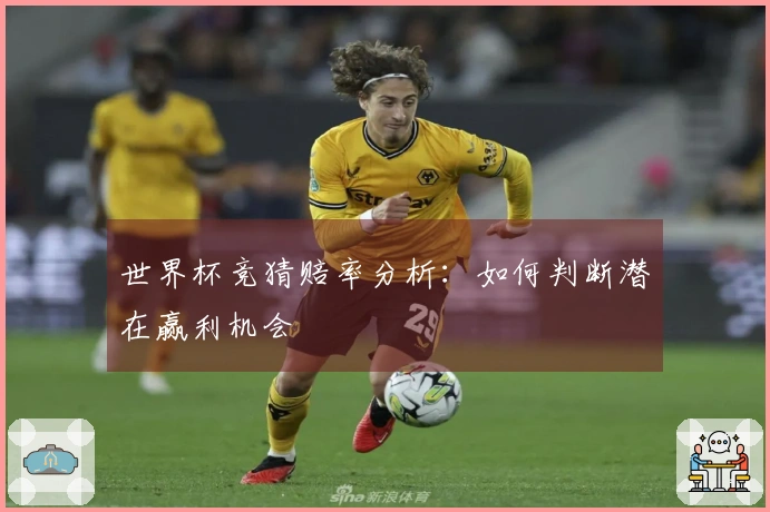 世界杯竞猜赔率分析：如何判断潜在赢利机会