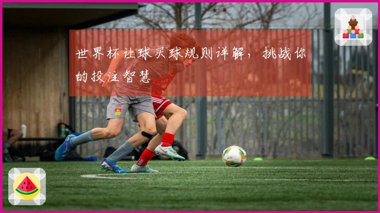 世界杯让球买球规则详解，挑战你的投注智慧