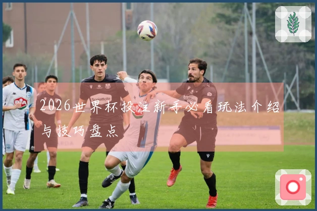2026世界杯投注新手必看玩法介绍与技巧盘点