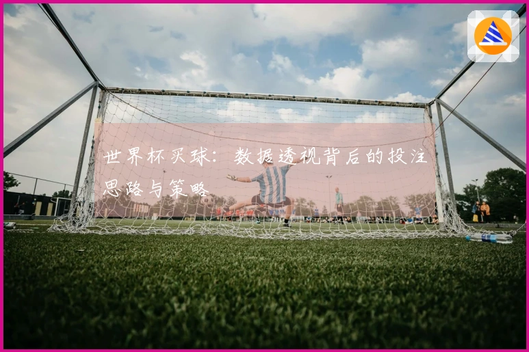 世界杯买球：数据透视背后的投注思路与策略