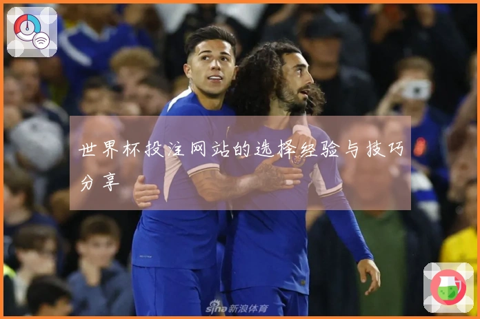世界杯投注网站的选择经验与技巧分享