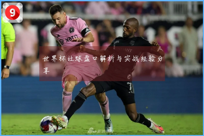 世界杯让球盘口解析与实战经验分享