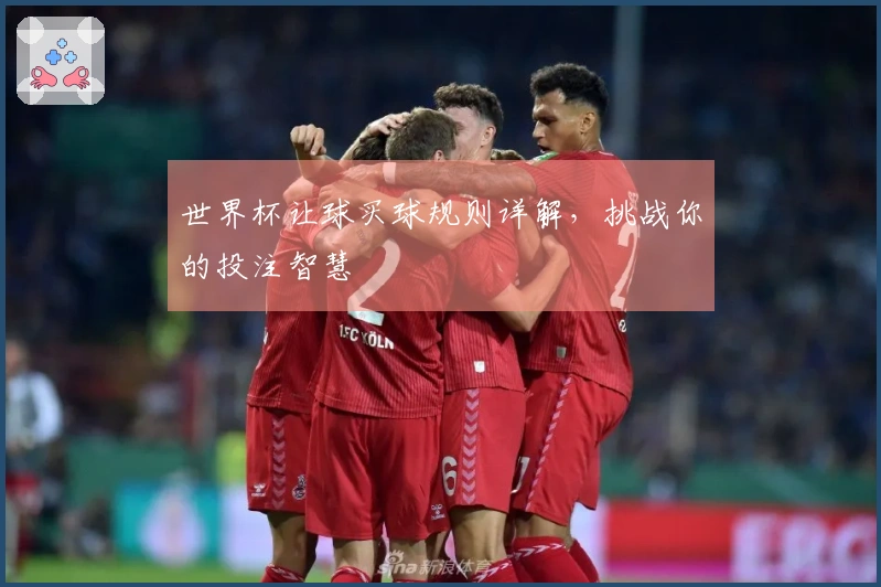 世界杯让球买球规则详解，挑战你的投注智慧